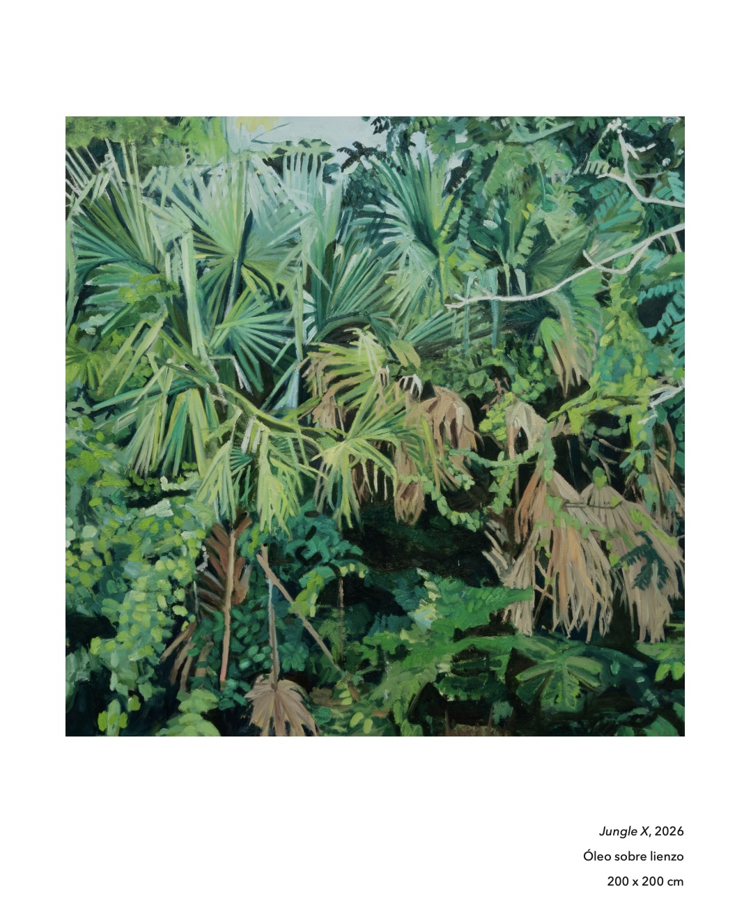 Jungle 08 